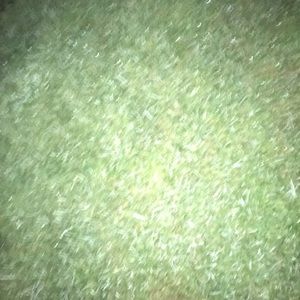 Meet your Posher, Evan